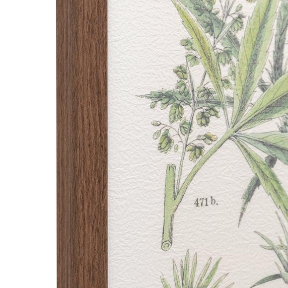 Botanical Heritage Framed Print - Image 6